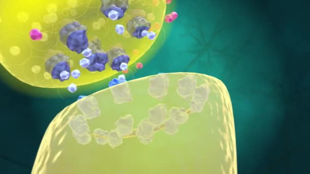 Biochemie Farmacologie Zijn Receptoren Chemische Structuren Samengesteld Uit Eiwitten Die — Stockvideo