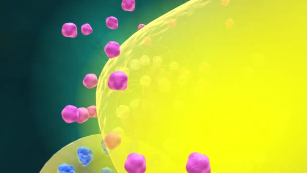 Biochimie Farmacologie Receptorii Sunt Structuri Chimice Compuse Din Proteine Care — Videoclip de stoc