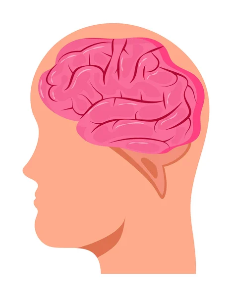 Cerebro Humano Cabeza Grande Concepto Vector Problemas Neurológicos Enfermedad Parkinson — Vector de stock