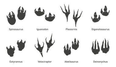 Silhoutte dinozor ayak izi vektörü ayarlandı. Paleontoloji, tarih klasiği. Paleontoloji dinozor izleri. Antik biyolojinin yırtıcı hayvan ayakları.