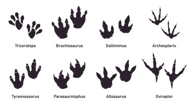 Silhoutte dinozor ayak izi vektörü ayarlandı. Paleontoloji, tarih klasiği. Paleontoloji dinozor izleri. Antik biyolojinin yırtıcı hayvan ayakları.