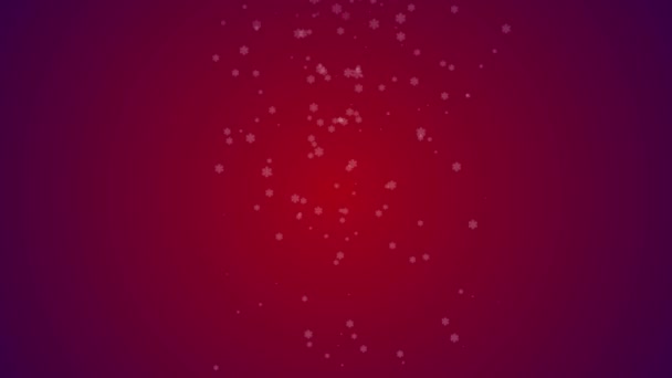 新年贺卡 上面印有星尘微粒 点亮星星 雪花飘落在黑色上 圣诞节概念背景 — 图库视频影像