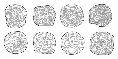 Tree trunk cuts vector in hand drawn sketch. Bark of tree with cracks, sawn pine circular. Wood tree rings. Oak slices, lumber symbol. Wooden, forest texture, saw cut timber illustration.