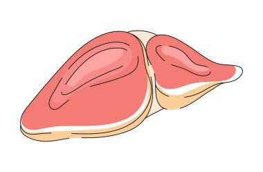 Liver icon in doddle syle. World hepatitis day concept vector. Medical illustration for website and mobile website development. Hepatitis A, B, C, D, cirrhosis treatment.