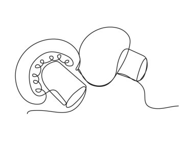 Çevrimiçi mantar ikonu. Sürekli meyve ve sebze. Yaşam ve diyet için doğal, sağlıklı yiyecekler. Eskiz tarzında besin ürünleri çizimi. Beslenme menüsü.