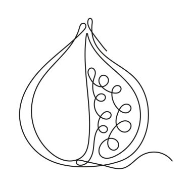 İnternetteki incir ikonu. Sürekli meyve ve sebze. Yaşam ve diyet için doğal, sağlıklı yiyecekler. Eskiz tarzında besin ürünleri çizimi. Beslenme menüsü.