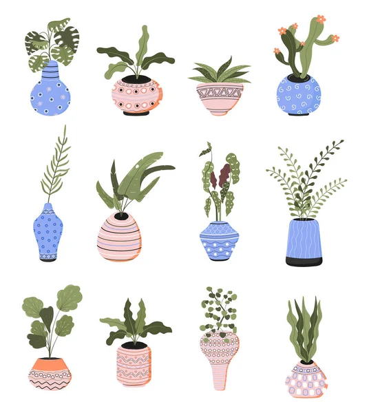 带有装饰向量集的粘土罐的家庭植物 在盆栽或种植中生长的植物 美丽的天然家园 城市丛林的幻影 — 图库矢量图片