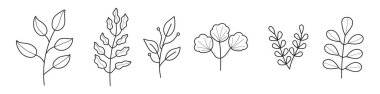 Bitki dalları karalama vektörü. Dövme ya da logo için çiçek dalı ve minimalist yapraklar. Yapraklı ve çiçekli ağaç dalları. Botanik çizgisi çağdaş çizgi simgeleri.