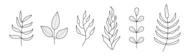 Bitki dalları karalama vektörü. Dövme ya da logo için çiçek dalı ve minimalist yapraklar. Yapraklı ve çiçekli ağaç dalları. Botanik çizgisi çağdaş çizgi simgeleri.