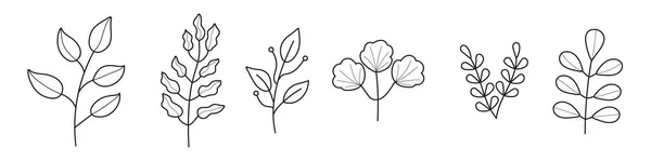 Planta Ramos Doodle Conjunto Vetor Ramo Floral Folhas Minimalistas Para —  Vetores de Stock