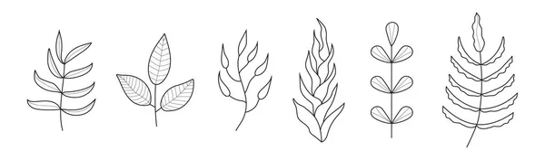 植物枝ドードルセットベクトル 花の枝やタトゥーやロゴのための最小限の葉 葉や花を持つ木の枝 植物ライン現代トレンディーなラインアイコン — ストックベクタ