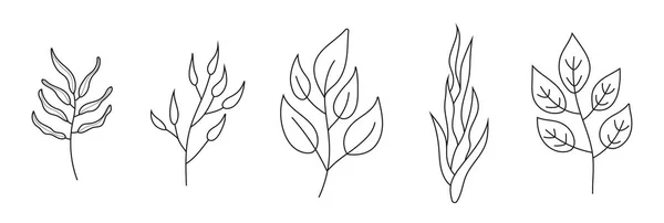 植物枝ドードルセットベクトル 花の枝やタトゥーやロゴのための最小限の葉 葉や花を持つ木の枝 植物ライン現代トレンディーなラインアイコン — ストックベクタ