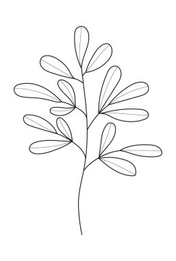 Bitki dalı, yaprak karalama vektörü. Yaprakları ve çiçekleri olan eski el yapımı ağaç dalları. Yapraklı ve çiçekli ağaç dalları. Botanik çizgisi çağdaş ögeler.