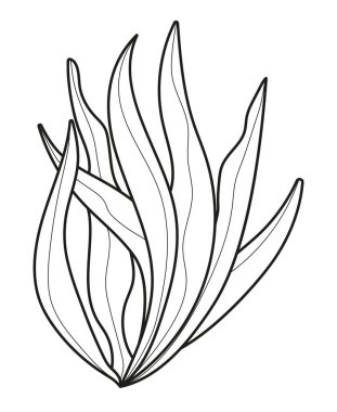 Bitki dalı, yaprak karalama vektörü. Yaprakları ve çiçekleri olan eski el yapımı ağaç dalları. Yapraklı ve çiçekli ağaç dalları. Botanik çizgisi çağdaş ögeler.