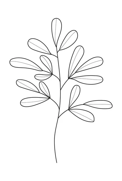 Növényi Levélfirka Vektor Vintage Kézzel Rajzolt Faágak Levelekkel Virágokkal Faágak — Stock Vector