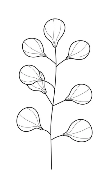 Rostlinná Větev Listový Vektor Ročník Ručně Kreslené Větve Stromů Listy — Stockový vektor
