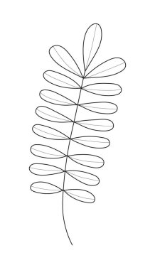 Bitki dalı, yaprak karalama vektörü. Yaprakları ve çiçekleri olan eski el yapımı ağaç dalları. Yapraklı ve çiçekli ağaç dalları. Botanik çizgisi çağdaş ögeler.