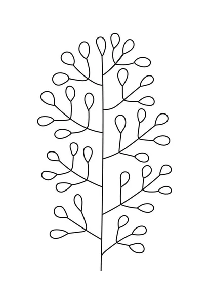 Plant Branch Leaf Doodle Vector Vintage Hand Drawn Tree Branches — Stock Vector