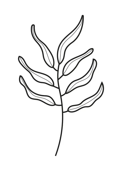 植物分枝线 叶柄向量 古色古香的手绘树枝 叶和花 有叶子和花的树枝 植物学路线当代元素 — 图库矢量图片