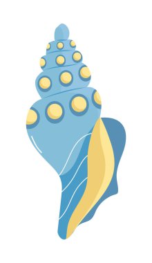 Deniz kestanesi, deniz salyangozu kabukları. Renkli kabuk, okyanus kabuğu, rief veya deniz yumuşakçaları..