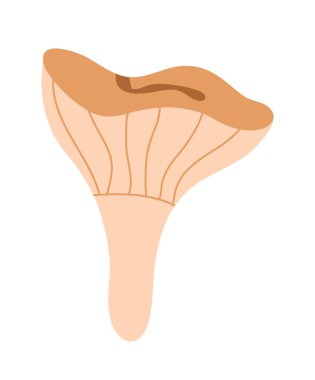 Elde mantar çizim stili. Orman mantarları, mantarlar ve mantarlar resmedilmiştir. Boletus mantarları, şampiyonlar ve diğer lezzetleri toplamak için bir teklif..