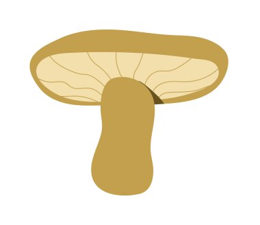 Elde mantar çizim stili. Orman mantarları, mantarlar ve mantarlar resmedilmiştir. Boletus mantarları, şampiyonlar ve diğer lezzetleri toplamak için bir teklif..