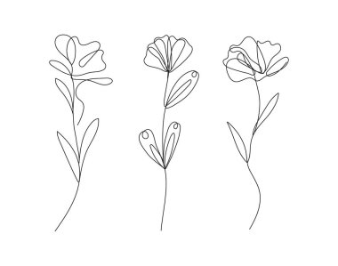 Tek ve kesintisiz bir çizgiyle çizilmiş, sürekli ana hatlı bir çiçek. Zarif ve minimalist tasarım ona sofistike ve modern bir görünüm kazandırıyor. Düğün süslemeleri için mükemmel, bahar.