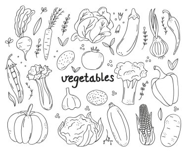 Domates, patates, havuç, patlıcan, balkabağı, soğan ve sarımsak da dahil olmak üzere el yapımı taze, organik çiftlik sebzeleri. Bu çevre dostu çizimler projeler için mükemmel.