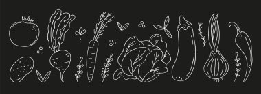 Domates, patates, havuç, patlıcan, balkabağı, soğan ve siyah arka planda sarımsak dahil taze organik çiftlik sebzeleri. Bu çevre dostu çizimler mükemmel.