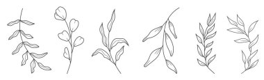 El yapımı bitkiler ve dallarla çizilmiş botanik çizgisi çizimi. Zarif ve doğal temalı tasarım projeleri için mükemmel bir minimalist vektör kümesi..