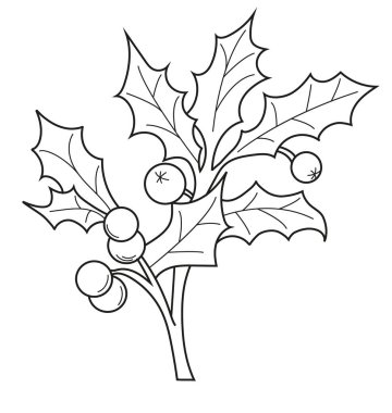 Noel ağacı dalları, çiçek buketleri ve bayram süslemeleri, tebrik kartları ve mevsimlik tasarımlar için mükemmel el yapımı vektör çizgisi çizimi..