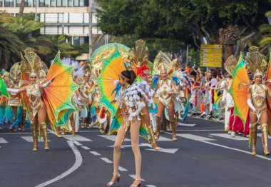 Santa CRUZ DE TENERIFE, İspanya - 13 Şubat 2024: The Coso geçidi, Cavalcada - Avenida de Anaga boyunca, Karnaval 'ın resmi sonu. İnanılmaz sıcak bir akşam, karnaval kostümlü neşeli insanlar eğleniyor..