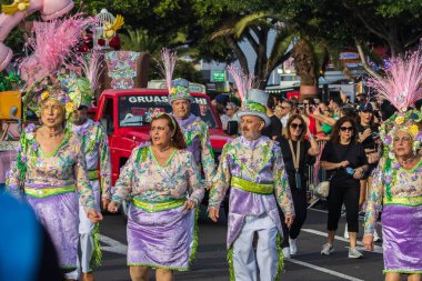 Santa CRUZ DE TENERIFE, İspanya - 13 Şubat 2024: The Coso geçidi, Cavalcada - Avenida de Anaga boyunca, Karnaval 'ın resmi sonu. İnanılmaz sıcak bir akşam, karnaval kostümlü neşeli insanlar eğleniyor..