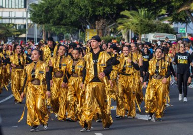 Santa CRUZ DE TENERIFE, İspanya - 13 Şubat 2024: The Coso geçidi, Cavalcada - Avenida de Anaga boyunca, Karnaval 'ın resmi sonu. İnanılmaz sıcak bir akşam, karnaval kostümlü neşeli insanlar eğleniyor..
