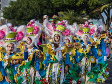 Santa CRUZ DE TENERIFE, İspanya - 13 Şubat 2024: The Coso geçidi, Cavalcada - Avenida de Anaga boyunca, Karnaval 'ın resmi sonu. İnanılmaz sıcak bir akşam, karnaval kostümlü neşeli insanlar eğleniyor..