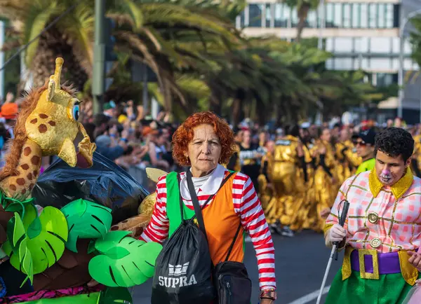 Santa CRUZ DE TENERIFE, İspanya - 13 Şubat 2024: The Coso geçidi, Cavalcada - Avenida de Anaga boyunca, Karnaval 'ın resmi sonu. İnanılmaz sıcak bir akşam, karnaval kostümlü neşeli insanlar eğleniyor..