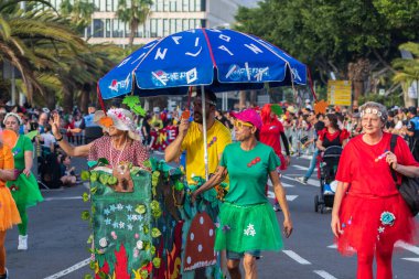 Santa CRUZ DE TENERIFE, İspanya - 13 Şubat 2024: The Coso geçidi, Cavalcada - Avenida de Anaga boyunca, Karnaval 'ın resmi sonu. İnanılmaz sıcak bir akşam, karnaval kostümlü neşeli insanlar eğleniyor..