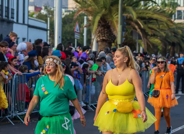 Santa CRUZ DE TENERIFE, İspanya - 13 Şubat 2024: The Coso geçidi, Cavalcada - Avenida de Anaga boyunca, Karnaval 'ın resmi sonu. İnanılmaz sıcak bir akşam, karnaval kostümlü neşeli insanlar eğleniyor..