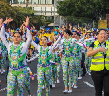 Santa CRUZ DE TENERIFE, İspanya - 13 Şubat 2024: The Coso geçidi, Cavalcada - Avenida de Anaga boyunca, Karnaval 'ın resmi sonu. İnanılmaz sıcak bir akşam, karnaval kostümlü neşeli insanlar eğleniyor..