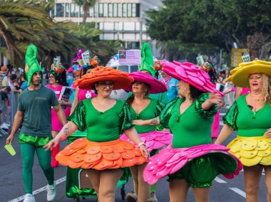 Santa CRUZ DE TENERIFE, İspanya - 13 Şubat 2024: The Coso geçidi, Cavalcada - Avenida de Anaga boyunca, Karnaval 'ın resmi sonu. İnanılmaz sıcak bir akşam, karnaval kostümlü neşeli insanlar eğleniyor..