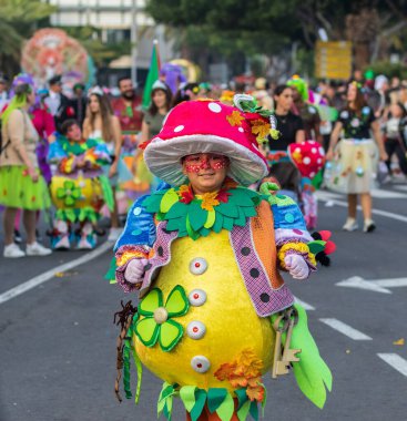 Santa CRUZ DE TENERIFE, İspanya - 13 Şubat 2024: The Coso geçidi, Cavalcada - Avenida de Anaga boyunca, Karnaval 'ın resmi sonu. İnanılmaz sıcak bir akşam, karnaval kostümlü neşeli insanlar eğleniyor..