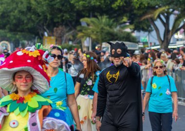 Santa CRUZ DE TENERIFE, İspanya - 13 Şubat 2024: The Coso geçidi, Cavalcada - Avenida de Anaga boyunca, Karnaval 'ın resmi sonu. İnanılmaz sıcak bir akşam, karnaval kostümlü neşeli insanlar eğleniyor..