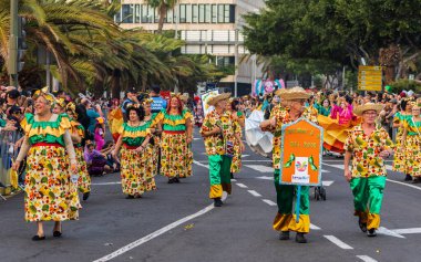 Santa CRUZ DE TENERIFE, İspanya - 13 Şubat 2024: The Coso geçidi, Cavalcada - Avenida de Anaga boyunca, Karnaval 'ın resmi sonu. İnanılmaz sıcak bir akşam, karnaval kostümlü neşeli insanlar eğleniyor..