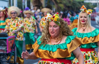 Santa CRUZ DE TENERIFE, İspanya - 13 Şubat 2024: The Coso geçidi, Cavalcada - Avenida de Anaga boyunca, Karnaval 'ın resmi sonu. İnanılmaz sıcak bir akşam, karnaval kostümlü neşeli insanlar eğleniyor..
