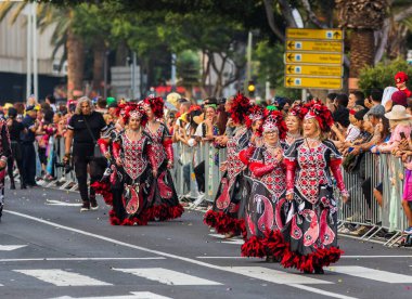Santa CRUZ DE TENERIFE, İspanya - 13 Şubat 2024: The Coso geçidi, Cavalcada - Avenida de Anaga boyunca, Karnaval 'ın resmi sonu. İnanılmaz sıcak bir akşam, karnaval kostümlü neşeli insanlar eğleniyor..