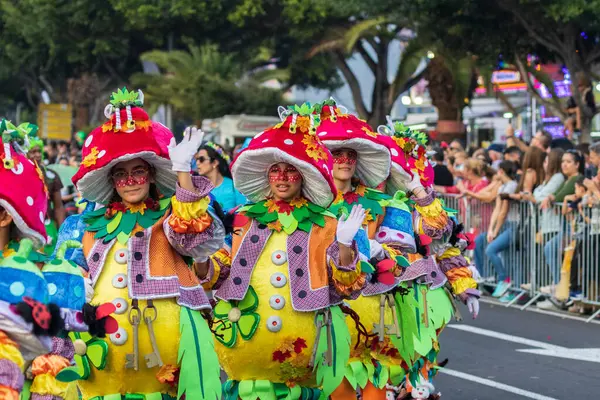 Santa CRUZ DE TENERIFE, İspanya - 13 Şubat 2024: The Coso geçidi, Cavalcada - Avenida de Anaga boyunca, Karnaval 'ın resmi sonu. İnanılmaz sıcak bir akşam, karnaval kostümlü neşeli insanlar eğleniyor..