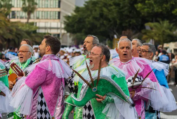 Santa CRUZ DE TENERIFE, İspanya - 13 Şubat 2024: The Coso geçidi, Cavalcada - Avenida de Anaga boyunca, Karnaval 'ın resmi sonu. İnanılmaz sıcak bir akşam, karnaval kostümlü neşeli insanlar eğleniyor..