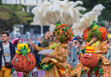 Santa CRUZ DE TENERIFE, İspanya - 13 Şubat 2024: The Coso geçidi, Cavalcada - Avenida de Anaga boyunca, Karnaval 'ın resmi sonu. İnanılmaz sıcak bir akşam, karnaval kostümlü neşeli insanlar eğleniyor..
