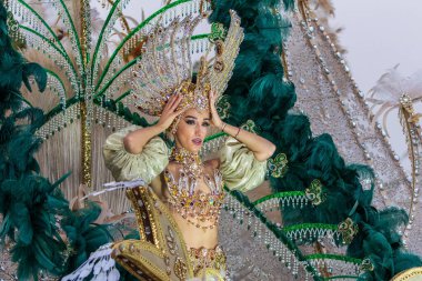 Santa CRUZ DE TENERIFE, İspanya - 13 Şubat 2024: The Coso geçidi, Cavalcada - Avenida de Anaga boyunca, Karnaval 'ın resmi sonu. İnanılmaz sıcak bir akşam, karnaval kostümlü neşeli insanlar eğleniyor..