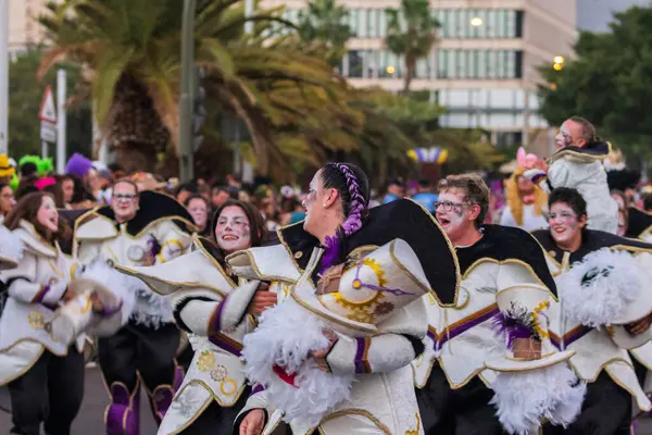 Santa CRUZ DE TENERIFE, İspanya - 13 Şubat 2024: The Coso geçidi, Cavalcada - Avenida de Anaga boyunca, Karnaval 'ın resmi sonu. İnanılmaz sıcak bir akşam, karnaval kostümlü neşeli insanlar eğleniyor..